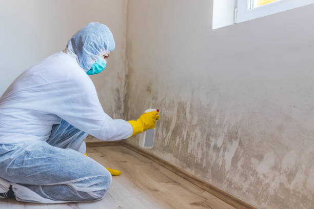 Mold inspector in Hasbrouck Heights performing thermal imaging