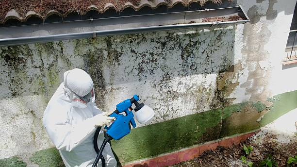 Mold Remediation service in Hasbrouck Heights, Hasbrouck Heights, NJ